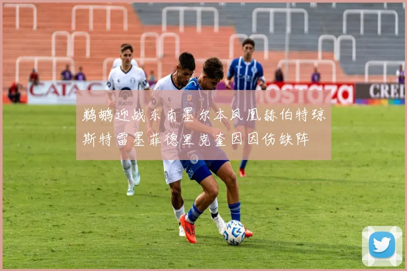 鹈鹕迎战东南墨尔本凤凰赫伯特琼斯特雷墨菲德里克奎因因伤缺阵
